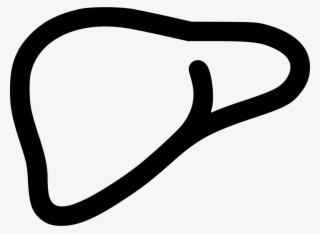 Png File Svg - Liver Svg