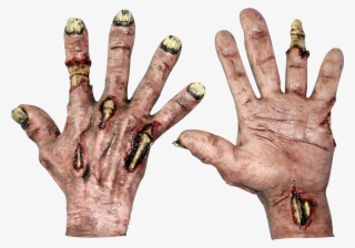 Zombie Flesh Hands - Realistic Zombie Hand