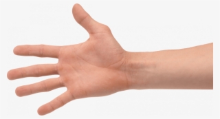 Hand Transparent Background