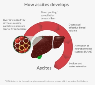 Anticipated Mechanism Of Action - Graphic Design