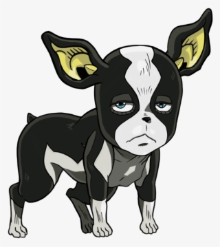 I Wonder If Streaming Cool Cat Kids Superhero On Amazon - Iggy The Dog Jojo