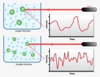 Particles In The Solution Could Be Acquired By Processing - Dynamic Light Scattering