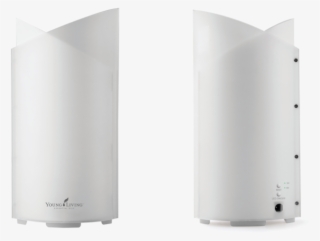 Bamboo - Computer Speaker