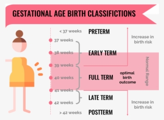 World Health Organization Defined Classifications