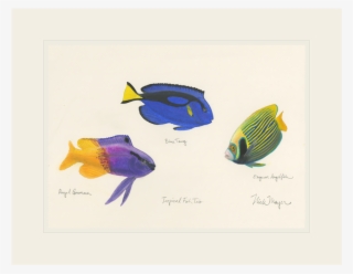 Sign Up And Get 10% Off - Wrasses