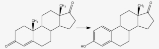 Reaction Androstendione Estrone - 2 Methoxyestradiol