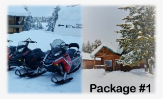 1 Bedroom Cabin Package - Moshi Monsters Moshlings Iggy