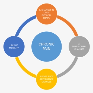 Chronic-pain - Professional Development Planning
