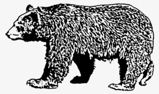 Brown Bear Rubber Stamp - Bear Stamp