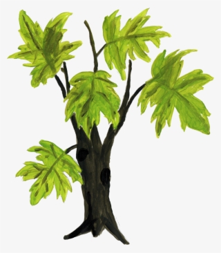 Tree Drawing Png - Wood