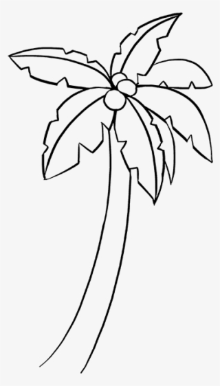 How To Draw Palm Tree - Line Art