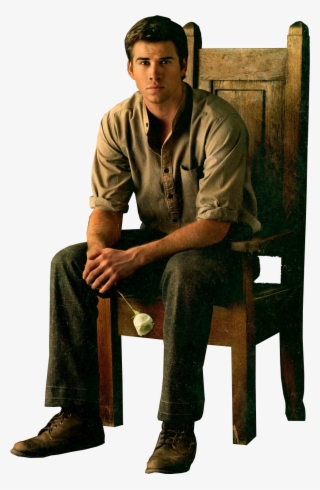 Hunger Games Catching Fire Character Posters