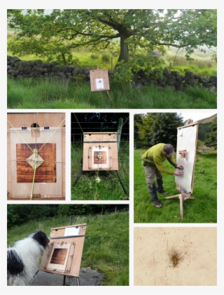 The Tree Drawing Machine Is A Temporary Environmental - Grass