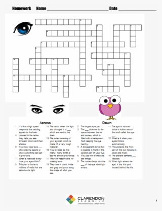 S-the Human Eye - Answer Class 9 Number System Technical Theater Vocabulary