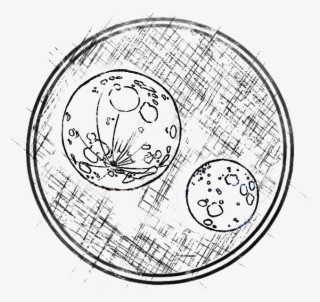 A Study In Loss, - Circle