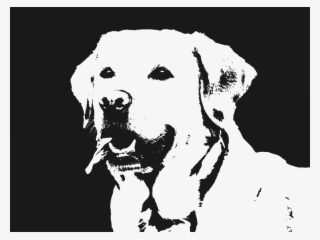 Labrador, Dog, Retriever, Animal, Pet, Happy, Cute - Labrador Vector Png