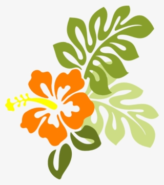 Graphic Transparent Library Clip Art At Clker Com Vector - Orange Hibiscus Flower Clipart