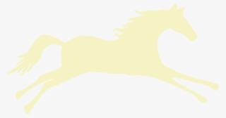 Yellow Spirit Horsebarbara Breckenfeld2017 02 24t09 - Stallion