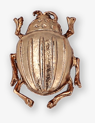 Beetle Gold-plated Brooch Ss19 Collection, Pal Zileri - True Frog