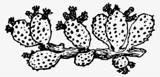 This Free Icons Png Design Of Cactus 2