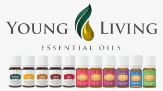 Why Choose Young Living Essential Oil - Young Living Premium Starter Kit Oils