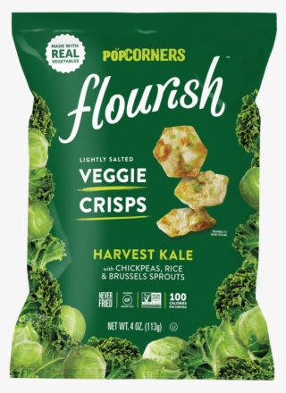 Potato Chip
