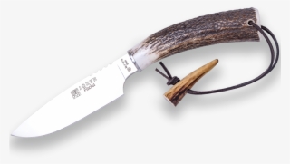 Stag Deer Antler Handle, 12,5 Cm Stainless Steel Blade - Knife