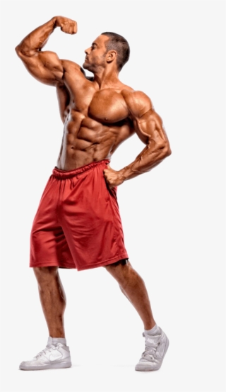 Bodybuilding Transparent - Bodybuilder Png