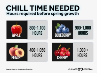 Jpg • Png - Natural Foods