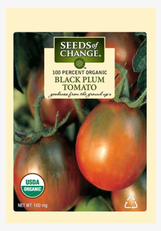 Organic Black Plum Cherry Tomato Seeds - Seeds Of Change
