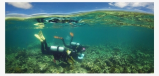 View Larger - Underwater