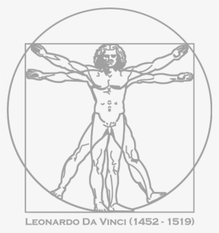 Da Vinci Vitruvian Man - Vitruvian Man Outline