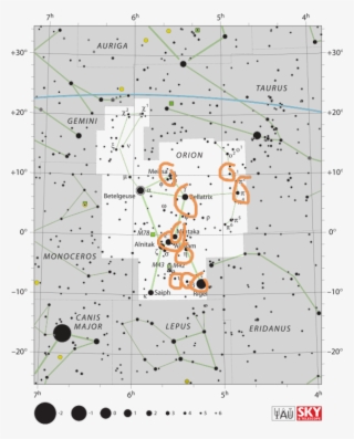 Orion And Vitruvian Man 1 - Orion Constellation Chart