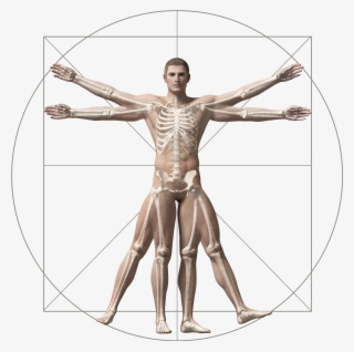 Where Does It Hurt - Vitruvian Man