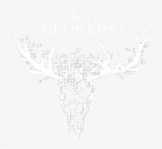 The Adamkovi The Adamkovi The Adamkovi - Antler