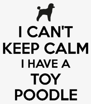 I Cant Keep Calm I Have A Toy Poodle - Vizsla