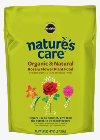 Prevnext - Common Zinnia