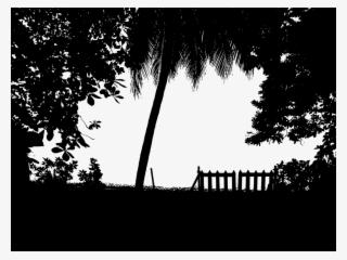 Tropical, Trees, Nature, Leaf, Leaves, Palms - Silhouette