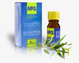 Oileucalr Mrs Eucalyptus2 Mrs Eucalyptus Oileucalr - Essential Oil