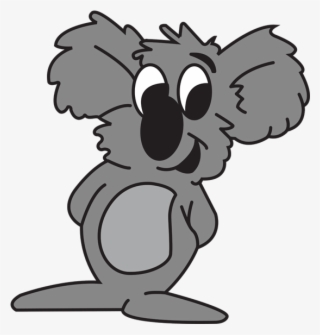 Eucalyptus Profile - Koala