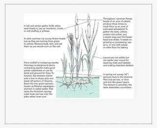 Image - Inov 8 Bare Grip 200