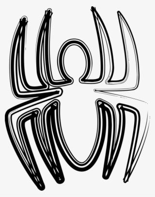 Black House Spider Southern Black Widow Western Black