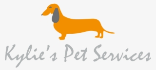 Kylie's Pet Services - Dachshund