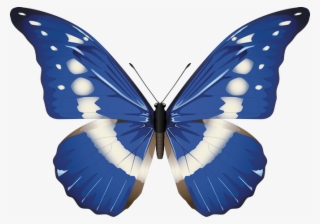 ‿✿⁀°butterflies°‿✿⁀ - Transparent Background Butterflies Png