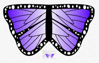 Monarch Butterfly Wings - Information Awareness Office