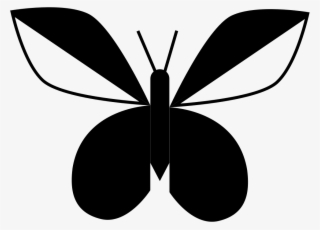 Butterfly With Wings Like Leaves Comments