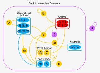 Particle Interactions