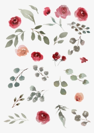 Watercolor Watercolor Roses Green Leaves Leaves - Garden Roses