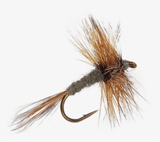 Dry Flies And Premium Dry Flies - Insect