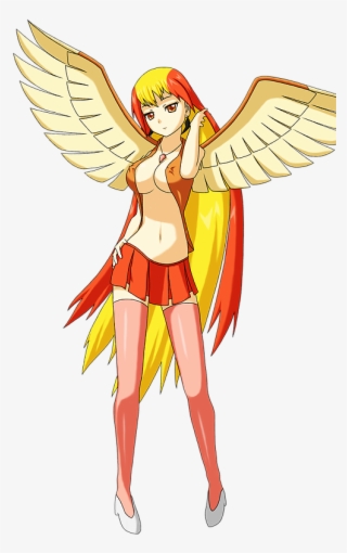 Pidgeot Human